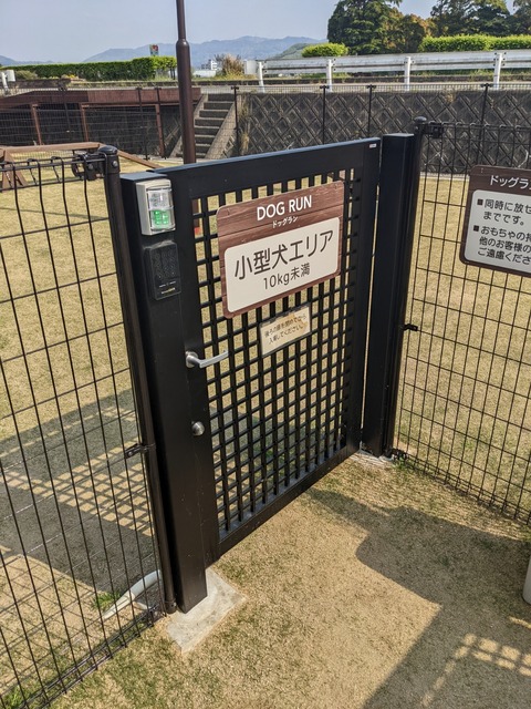 PXL_20220420_055024594