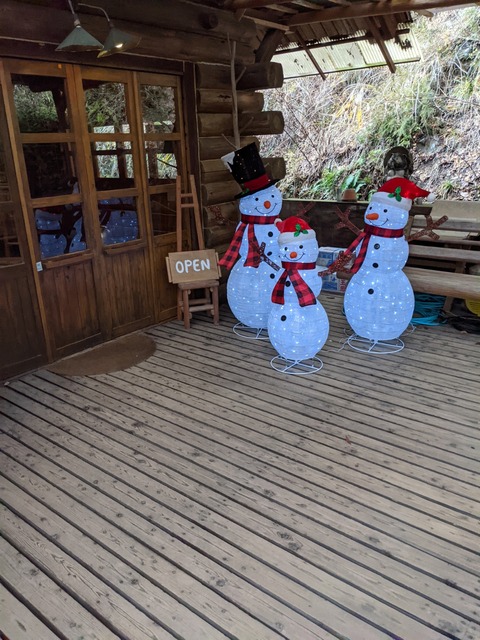PXL_20211203_035407220