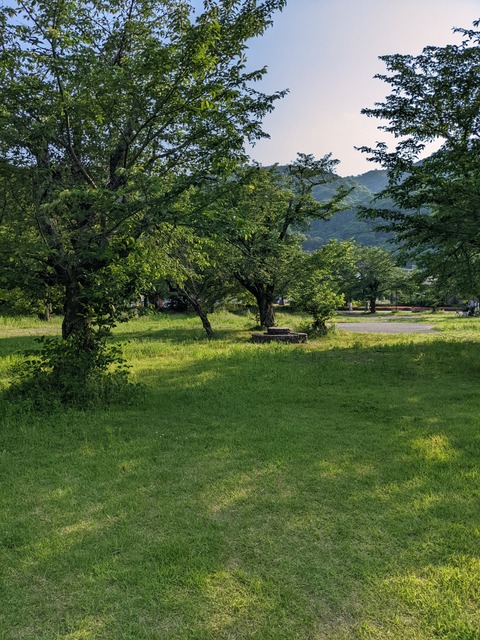 PXL_20220522_074946507