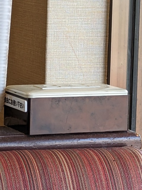 PXL_20221208_034934383