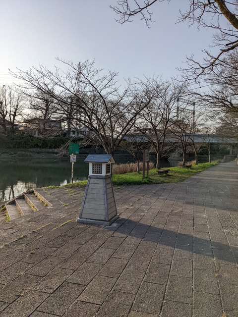 PXL_20220316_080847282