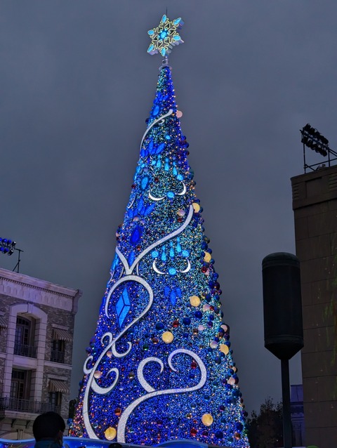 PXL_20221122_080157352
