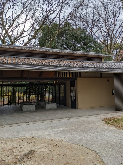 PXL_20211219_045534147