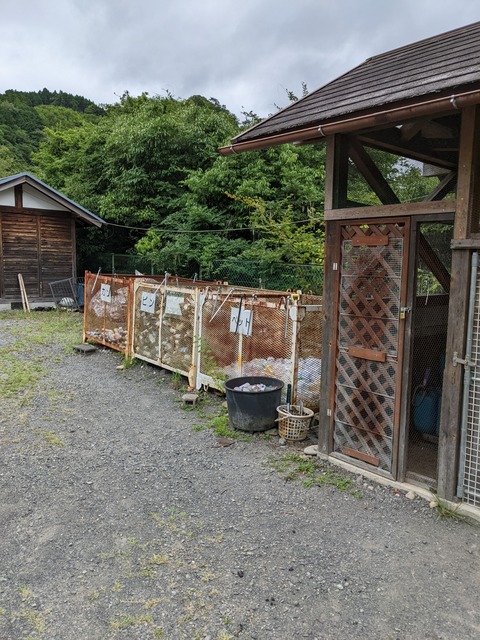 PXL_20220824_073207895