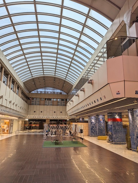 PXL_20240221_043558391~3