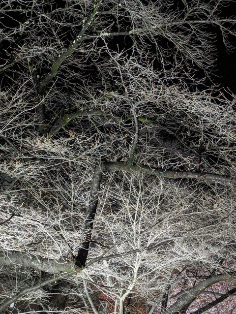 PXL_20240323_102617823