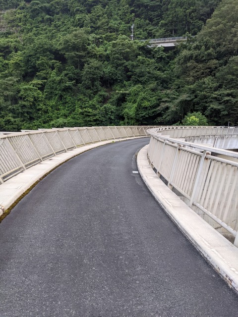 PXL_20220806_084426691