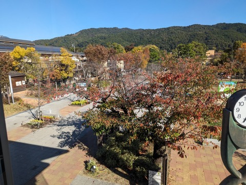 PXL_20231108_043458982~2