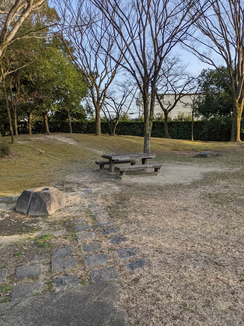PXL_20220316_080057451