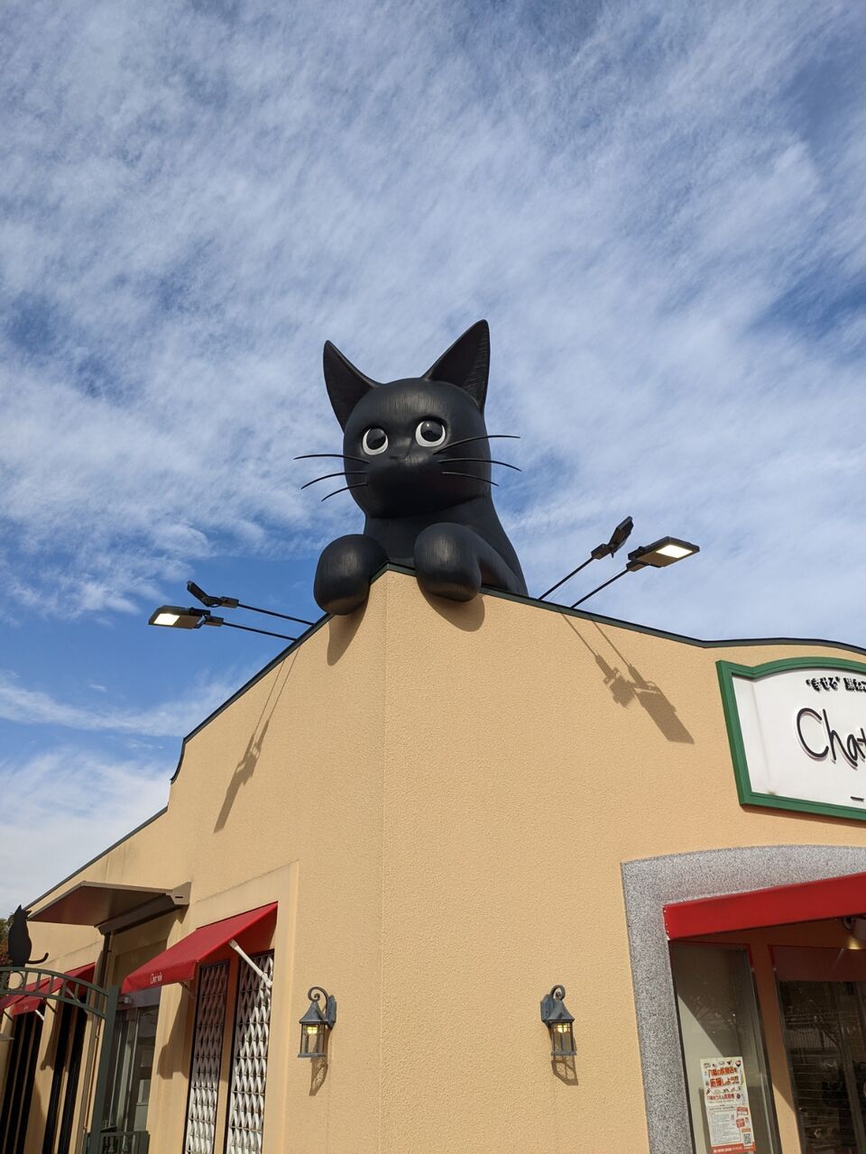 黒猫のケーキ屋さん シャノワール松井山手店 で黒猫のケーキを買ってきた 京都目線 Fwf彡 黒猫のケーキ屋さん シャノワール松井山手店 で黒猫のケーキを買ってきた 京都目線 Fwf彡