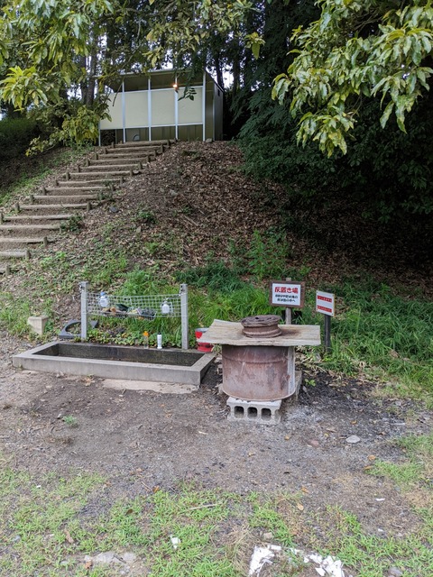 PXL_20220824_042418351
