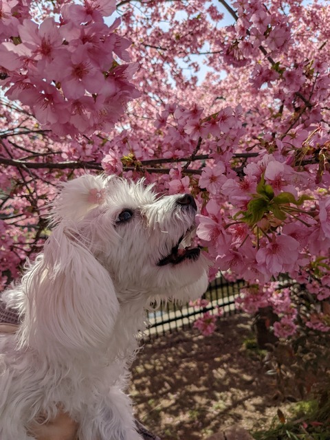 PXL_20220316_044724855