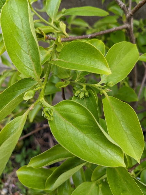 PXL_20220417_223024938