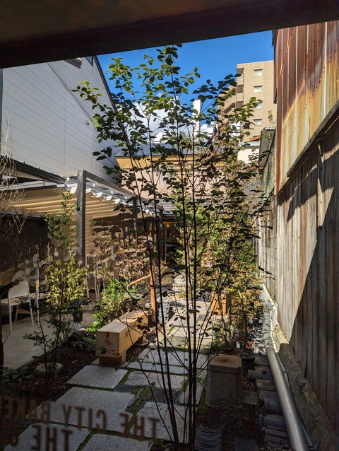 PXL_20221102_030649210~2