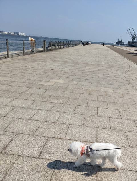 PXL_20220518_054945114