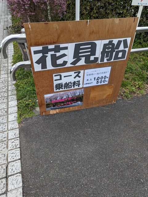 PXL_20230324_072822306