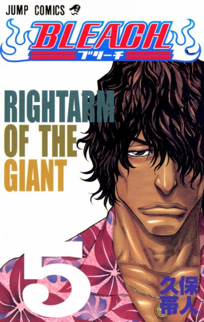201210_bleach5-401x633
