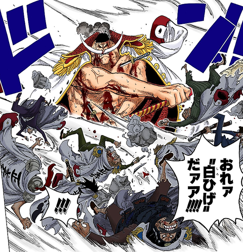 白ひげ 略奪しないラフテルは目指さない家族ごっこしたいだけ 海軍 うーん50億 超 マンガ速報