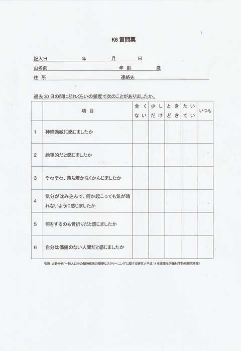K6質問票_日本語その1