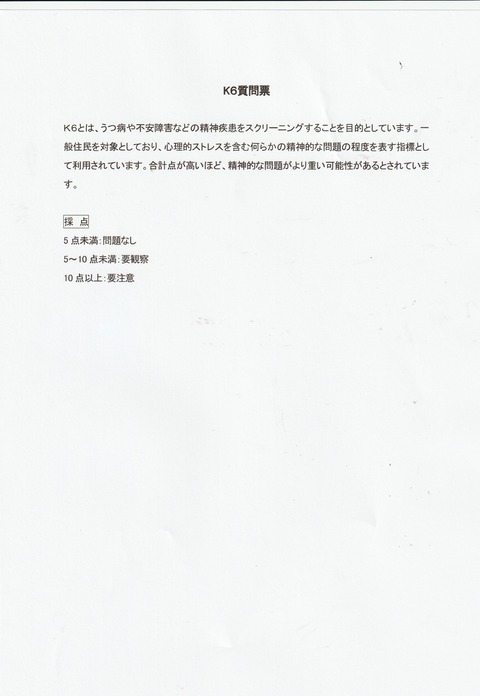 K6質問票_日本語その2