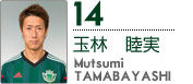 14-tamabayashi_index