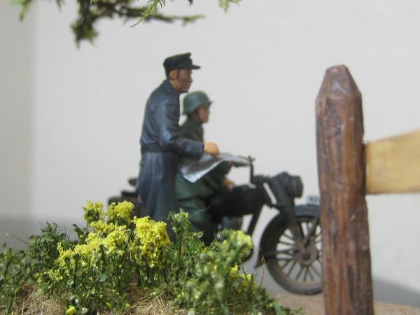 イメージ 5