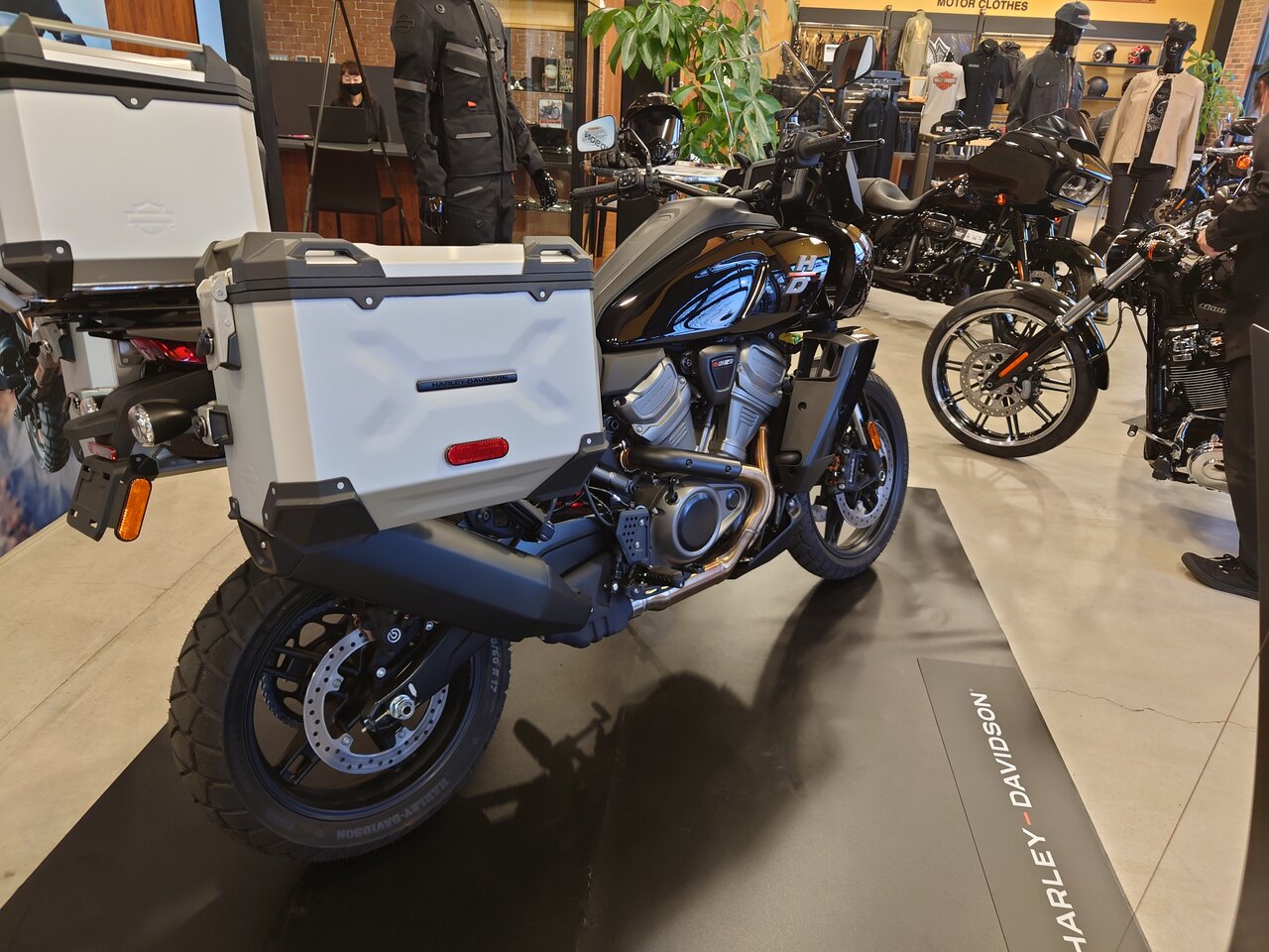 パンアメリカ 見て 触って 乗らずのインプレ へっちまんの素人模型 モーターサイクル パンアメリカ 見て 触って 乗らずのインプレ へっちまんの素人模型 モーターサイクル