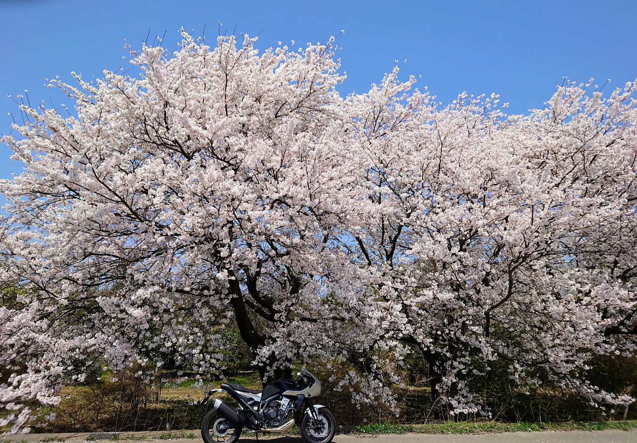 DSC_2571~2+1