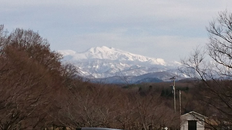 イメージ 2