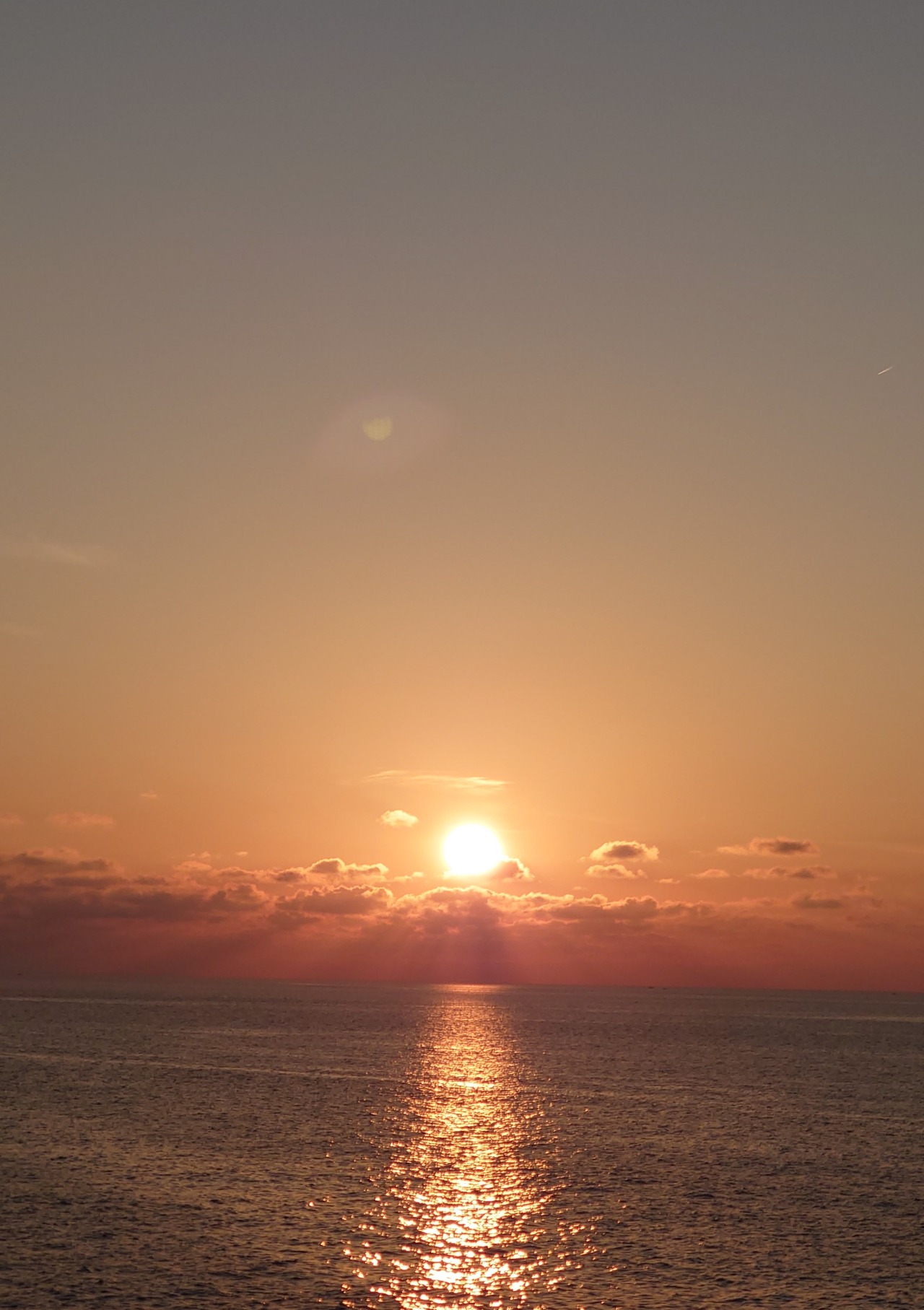 .trashed-1667220023-DSC_2164