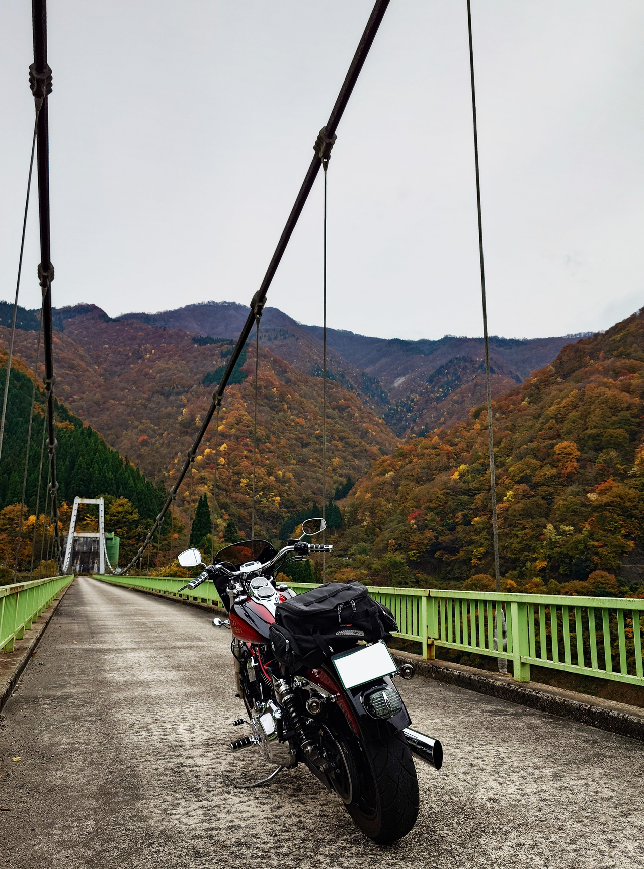 20241116_13045368712