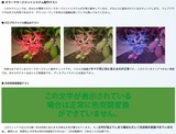 perfect_color_management_system_setting_picture1019001