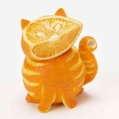 orange-cat2010