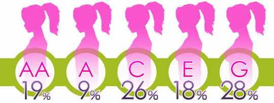 japanese-womens-bust-size