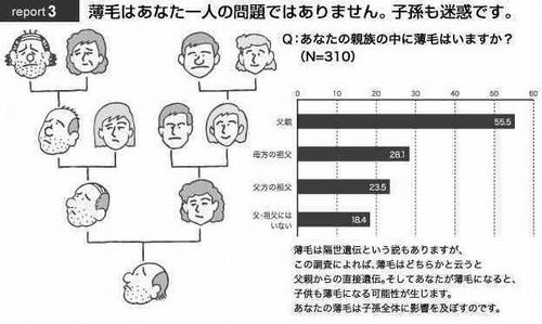 usugehasisonmomeiwaku