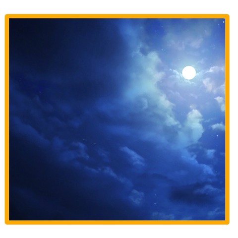 無題8_20240521050806