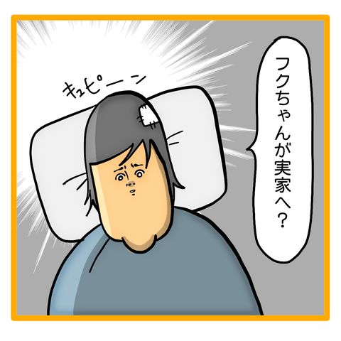 E1B251D4-4CC0-460E-A1C2-25EFDE589058