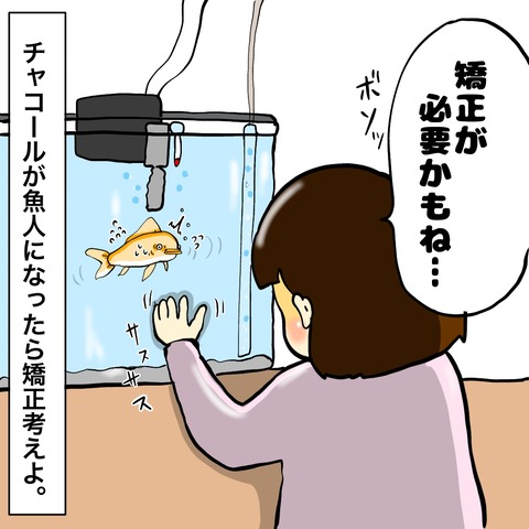 無題8_20240627142859