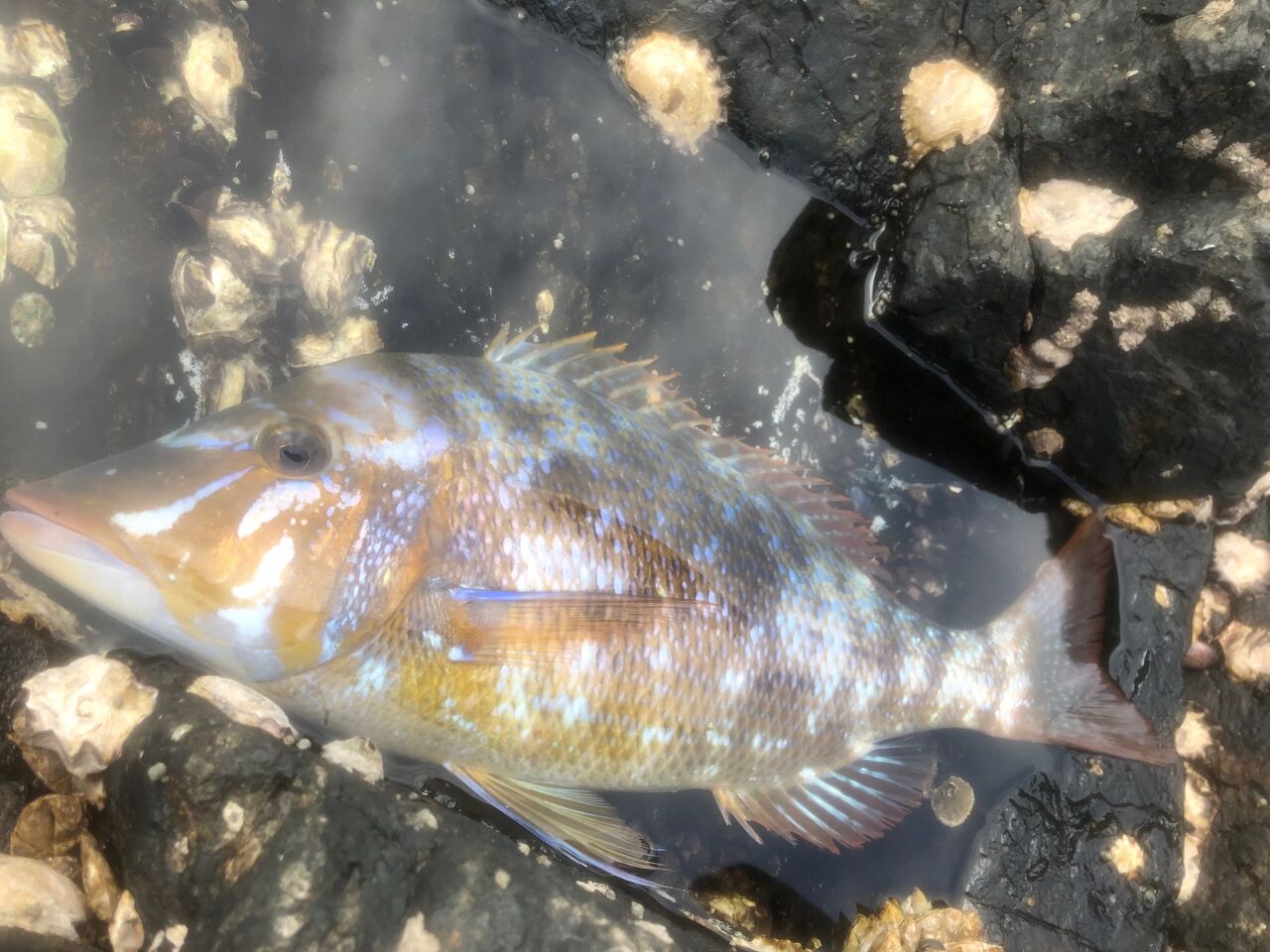 Fishing friend～絆～ - livedoor Blog（ブログ）
