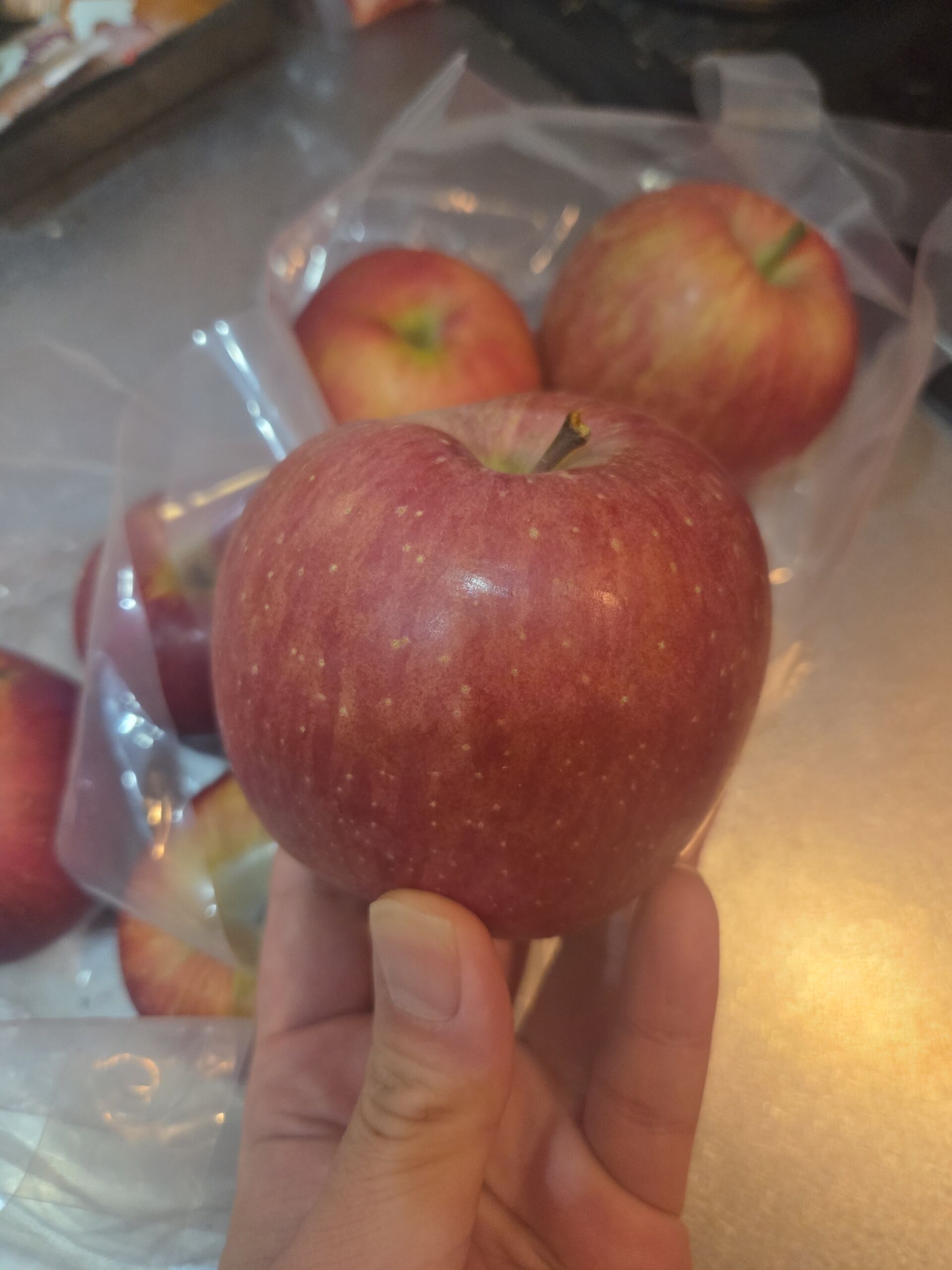 秋の収穫祭【オカマリレー(ハイファミリア・TOY SOLDIER・七色パトス)】