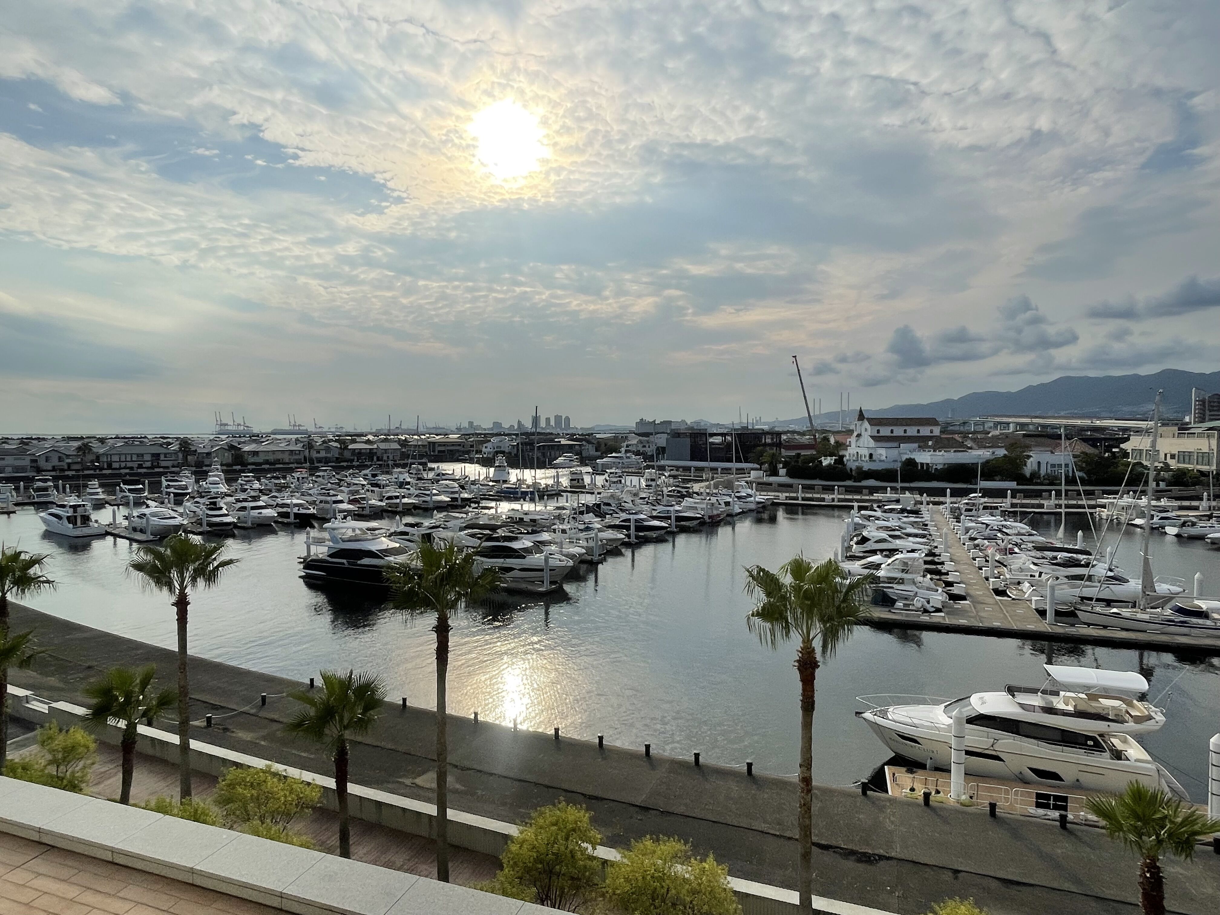 すっかり、、、【オカマリレー(ハイファミリア・TOY SOLDIER・七色パトス)】