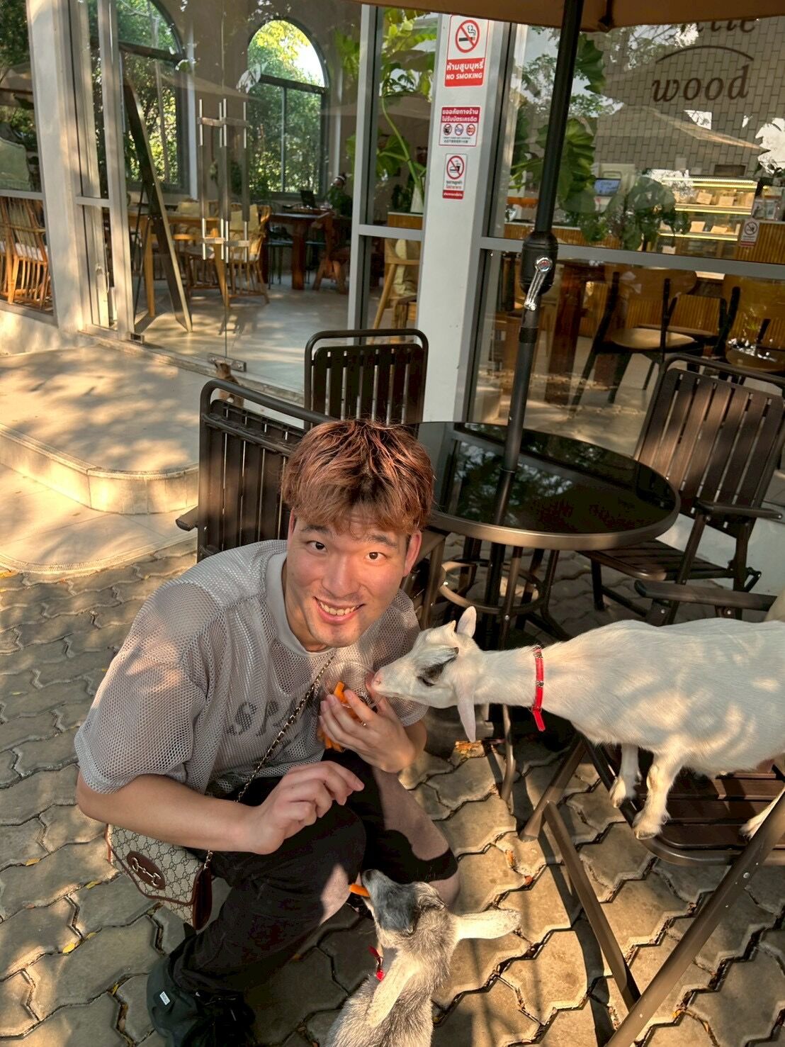 寒い日が続いてますね*🥶💨*【オカマリレー(ハイファミリア・TOY SOLDIER・七色パトス)】