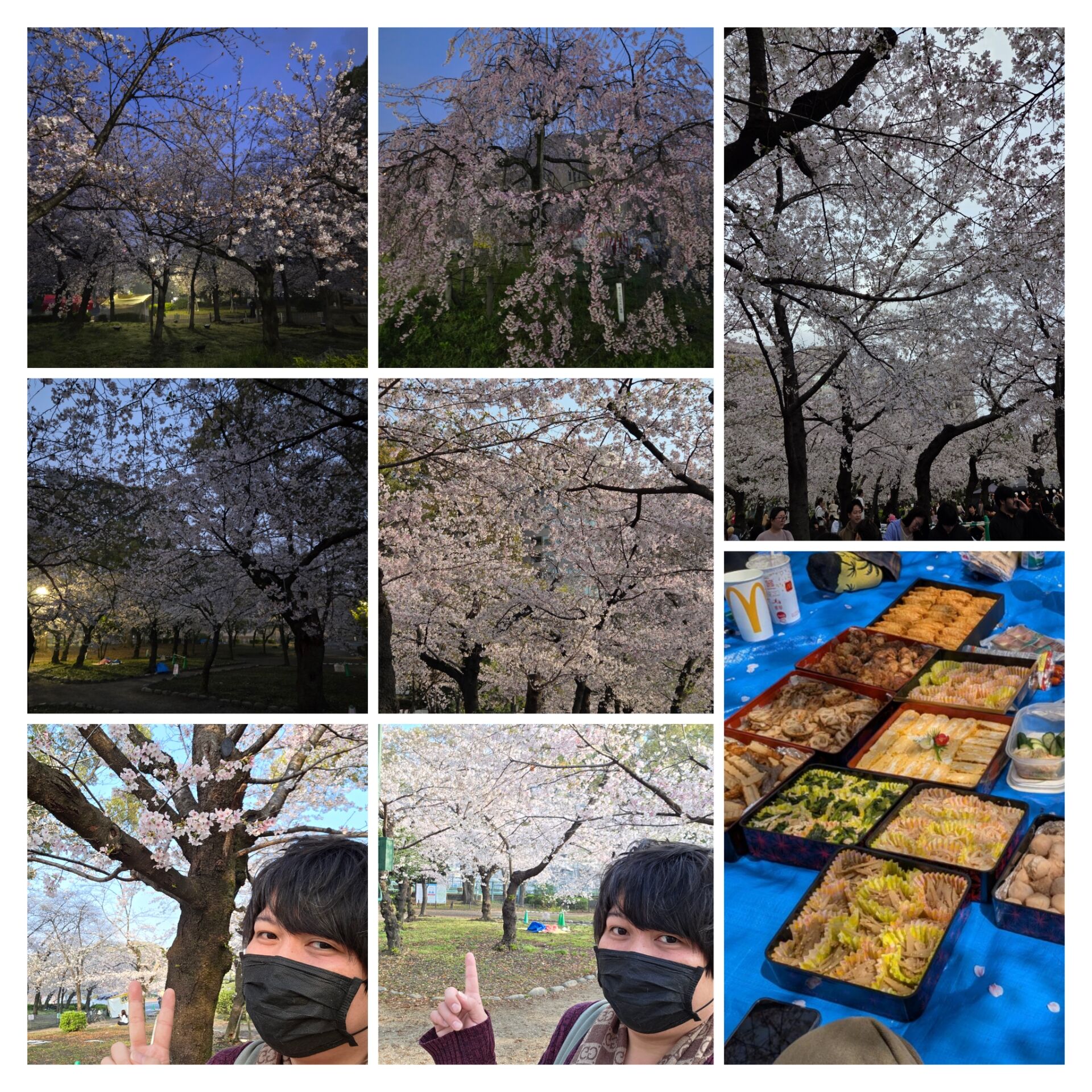 食べ歩きツアー✨【オカマリレー(ハイファミリア・TOY SOLDIER・七色パトス)】