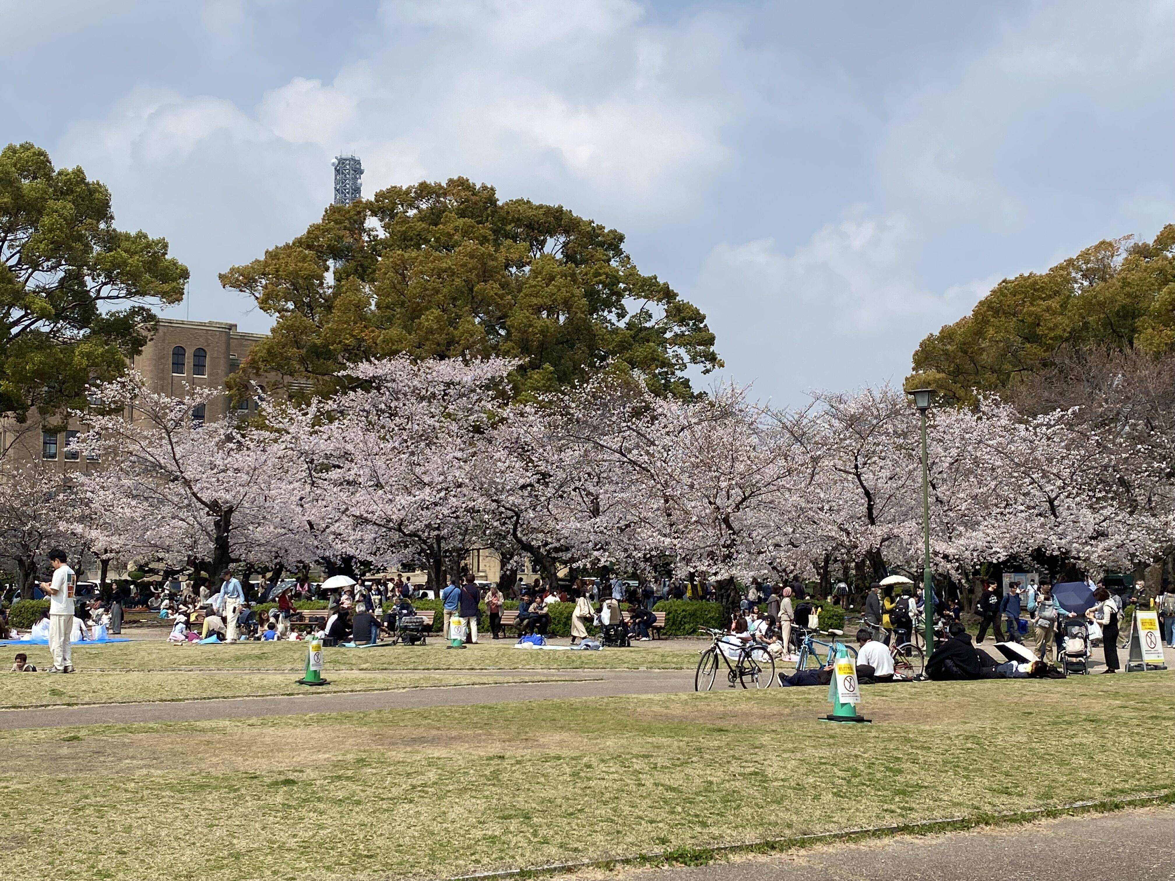 ひらひらり🌸【オカマリレー(ハイファミリア・TOY SOLDIER・七色パトス)】