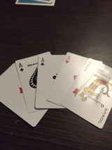 47925937.jpg