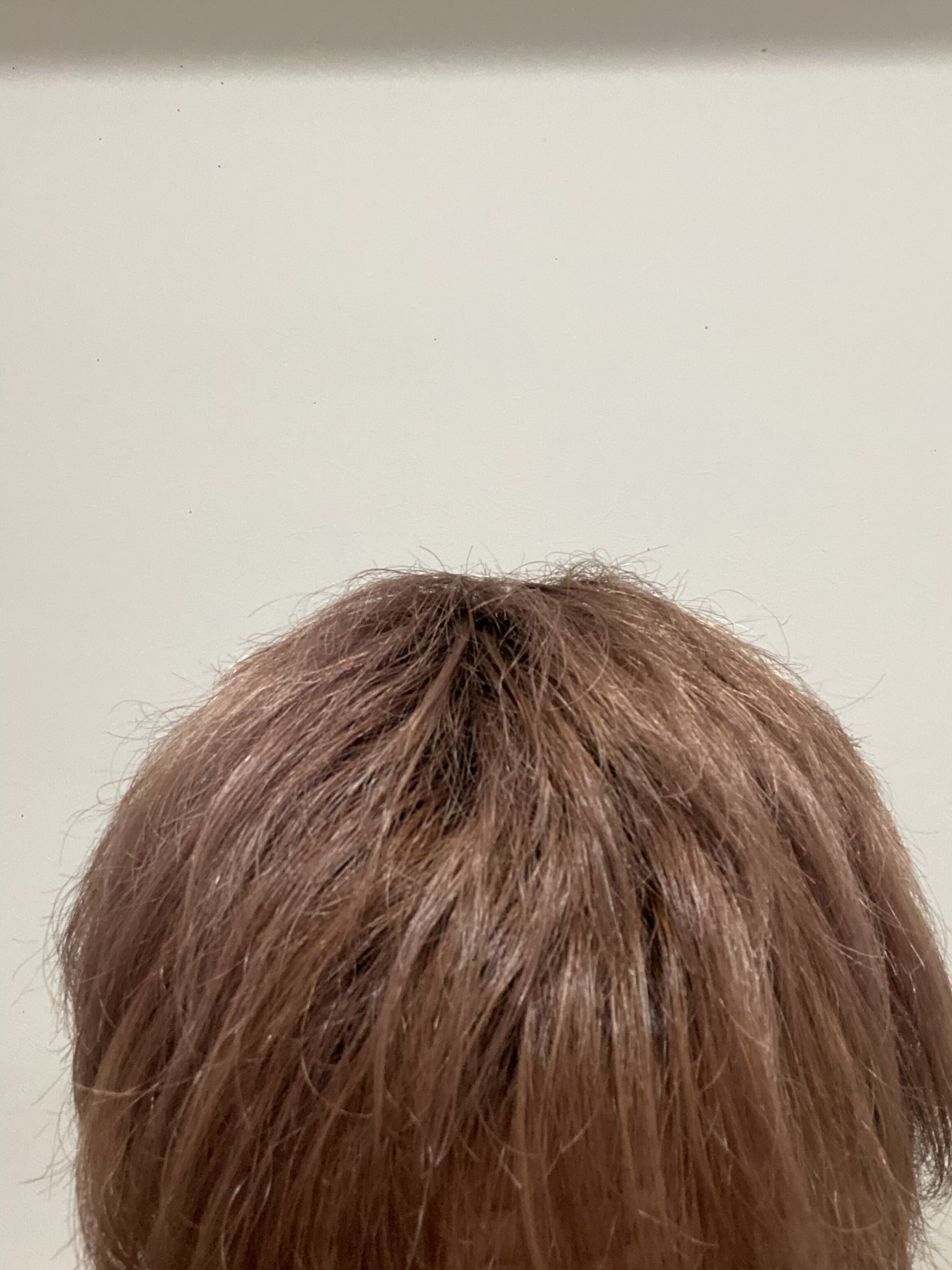 今年も後1ヶ月ちょっと【オカマリレー(ハイファミリア・TOY SOLDIER・七色パトス)】