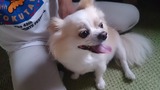 83a41824.jpg