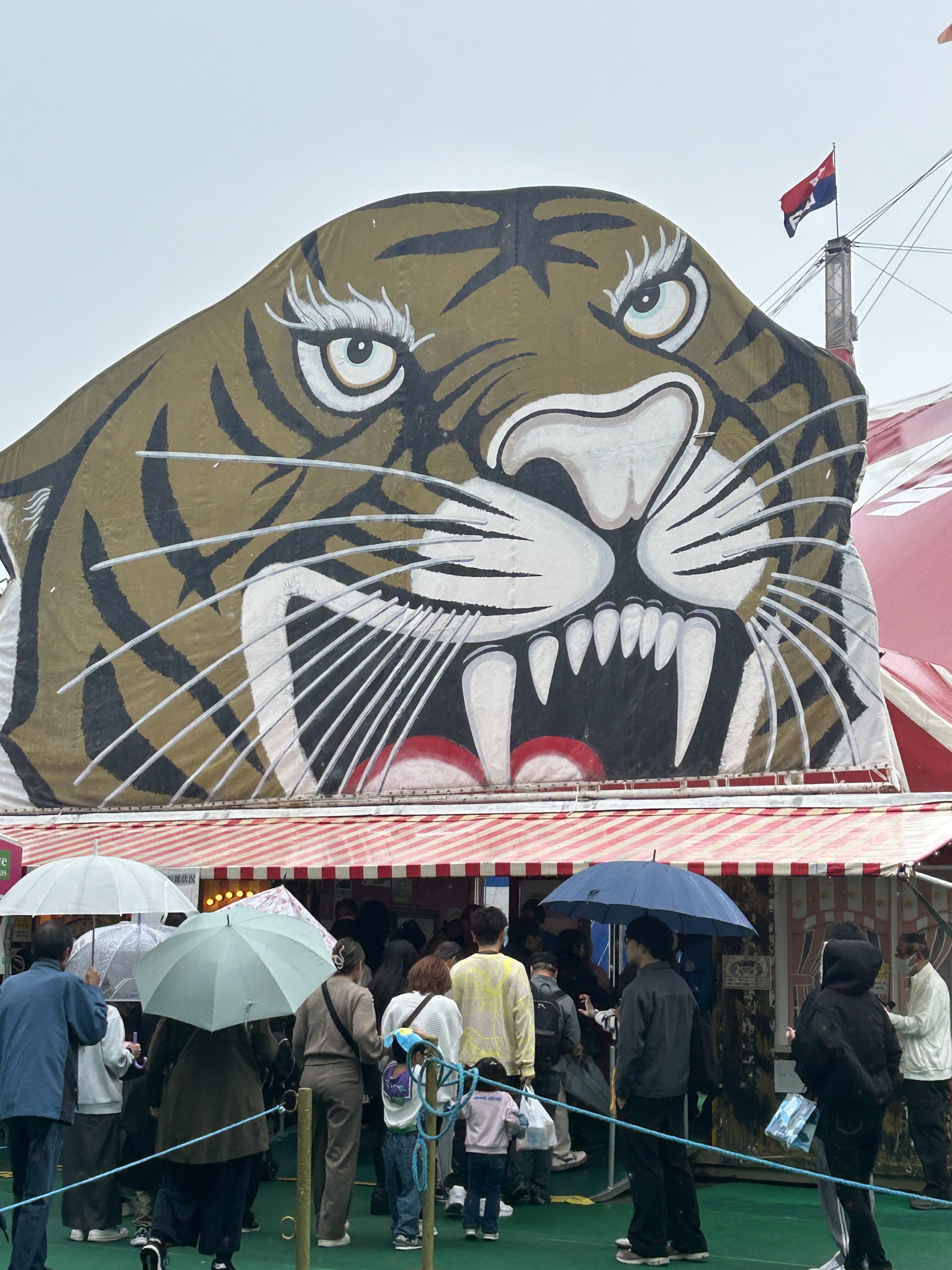 肌寒い秋に🍂【オカマリレー(ハイファミリア・TOY SOLDIER・七色パトス)】