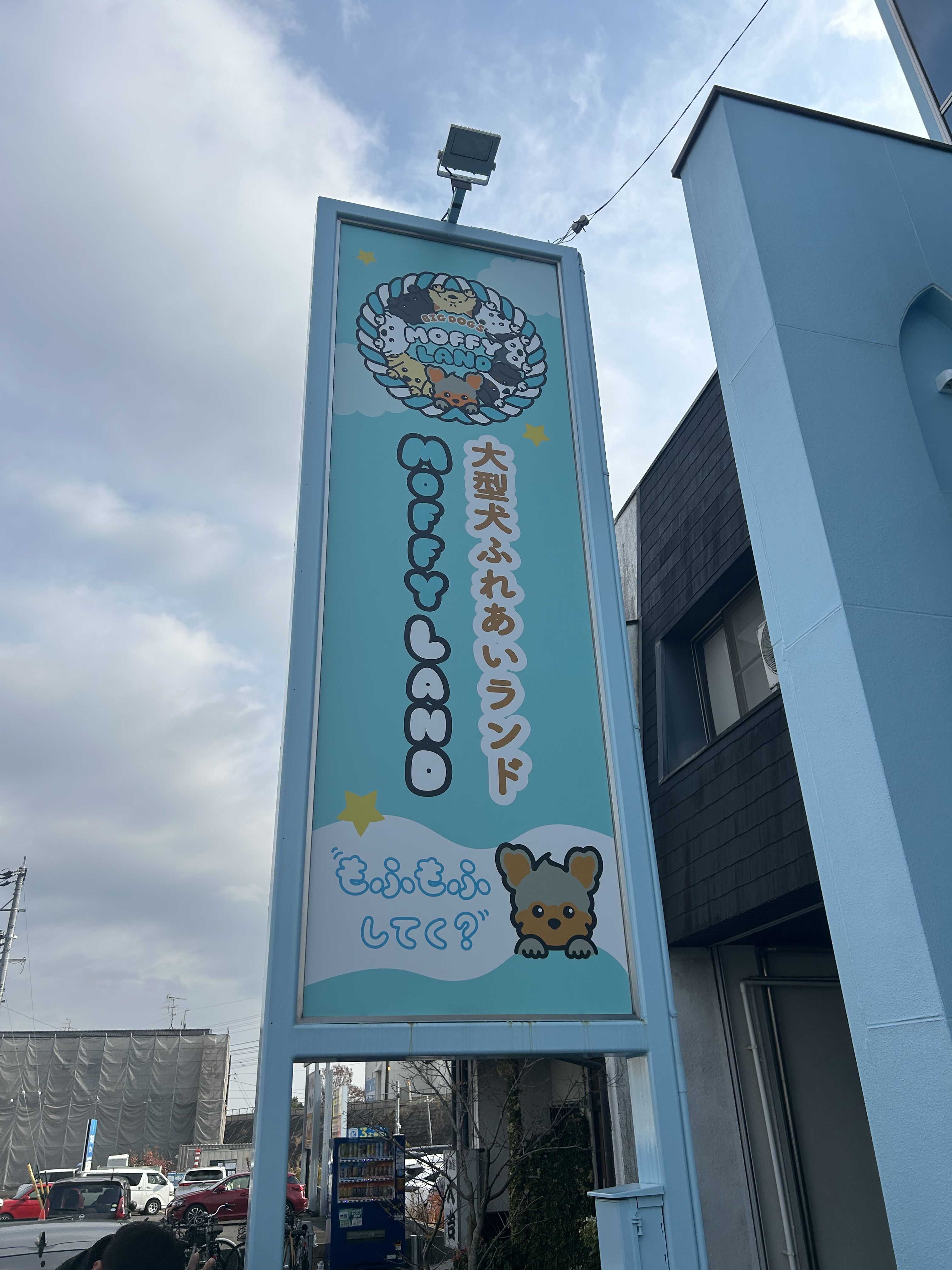 年末年始のお知らせ！！【オカマリレー(ハイファミリア・TOY SOLDIER・七色パトス)】