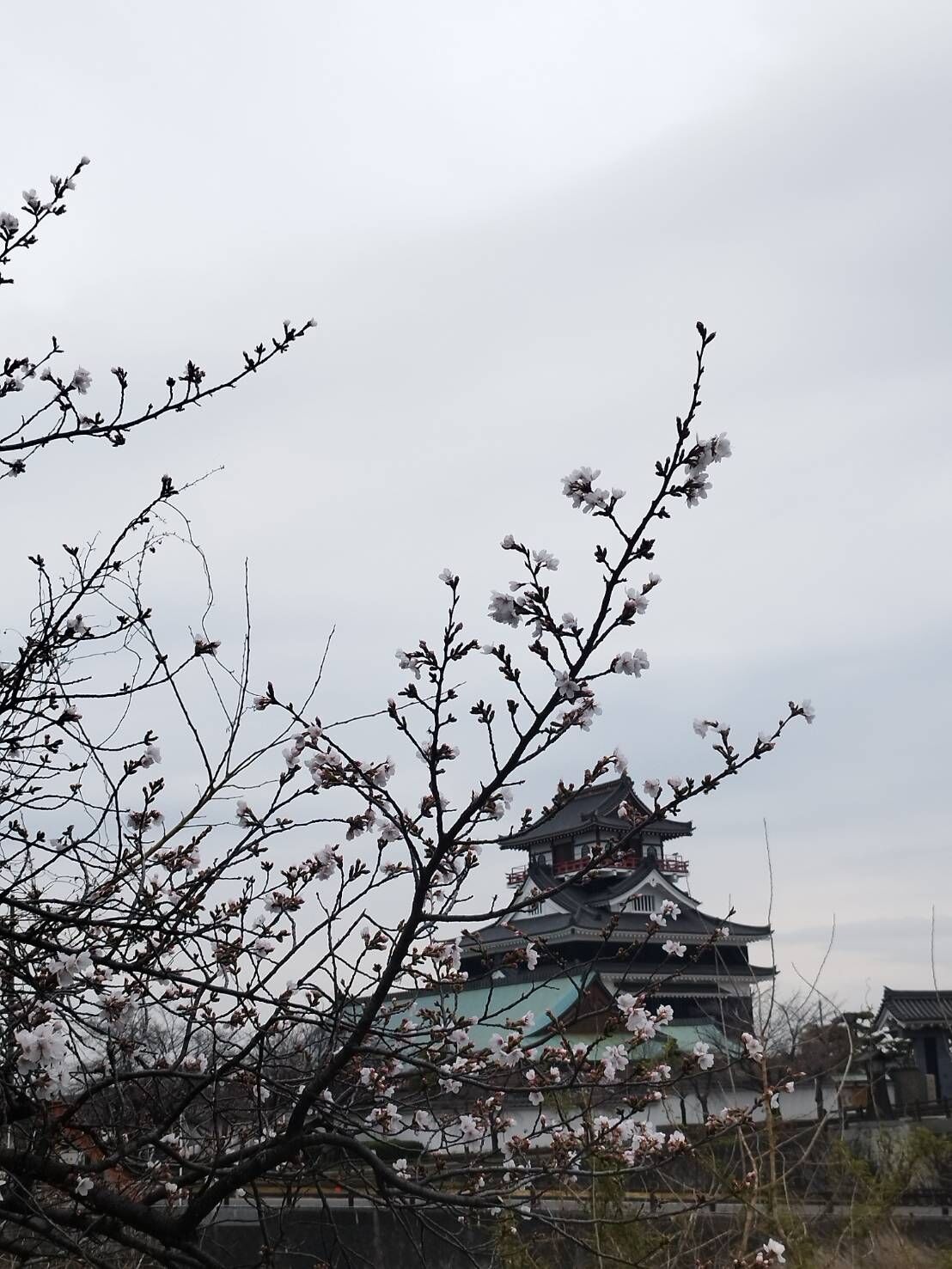 食べ歩きツアー✨【オカマリレー(ハイファミリア・TOY SOLDIER・七色パトス)】